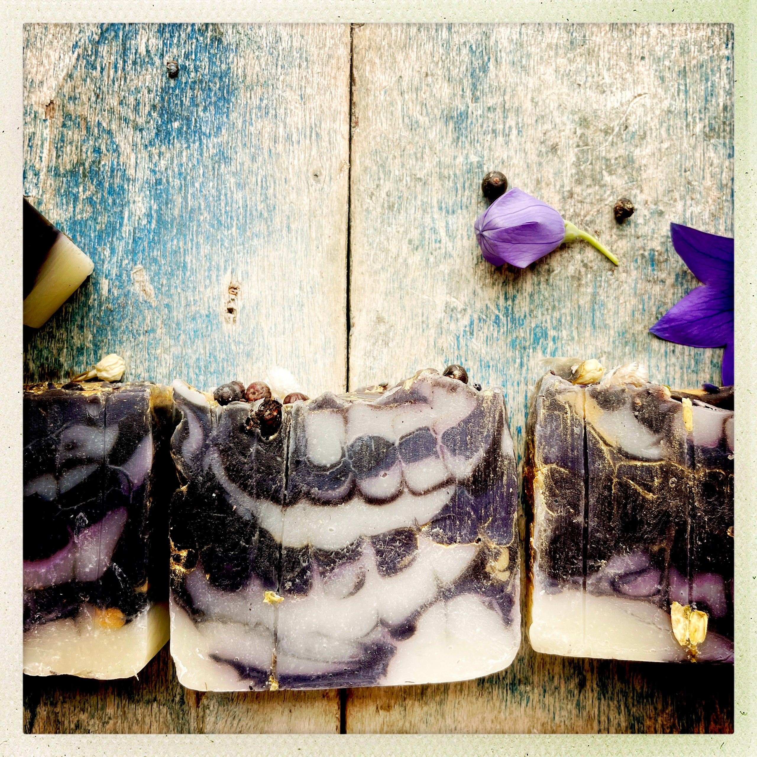 How to make your own plant based soaps — Raven's Roots Naturalist School